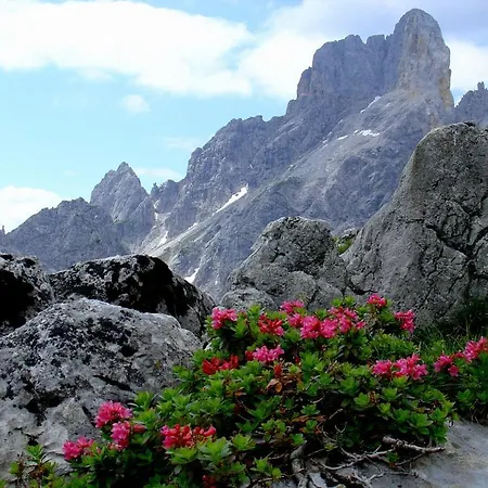 Rosi * Sankt Martin am Tennengebirge