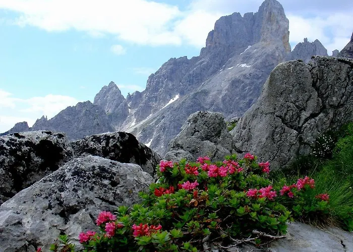 Rosi * Sankt Martin am Tennengebirge